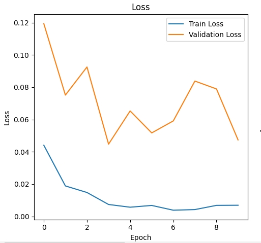 loss_curve